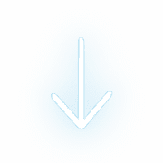 261