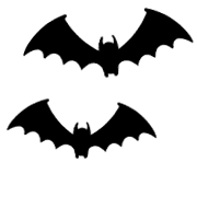 005