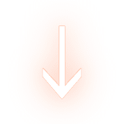261