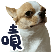 006