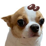 012