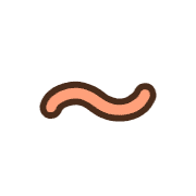 224