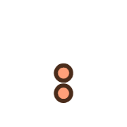 244