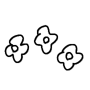 005