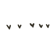 004