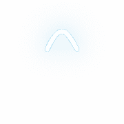 231