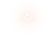 231