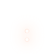 244