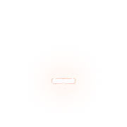 251