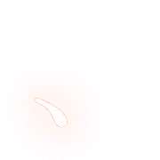 256