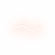 224