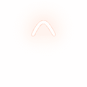 231