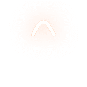 231