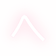 029
