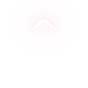 231