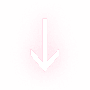 261