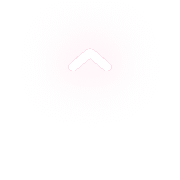 231