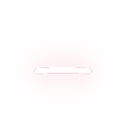161