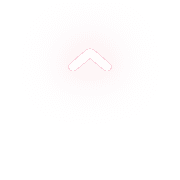 231