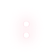 244