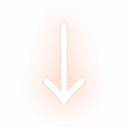 261