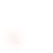 256