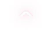 231