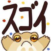 009