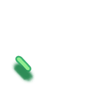 256