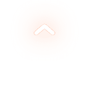 231