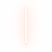242