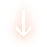 261