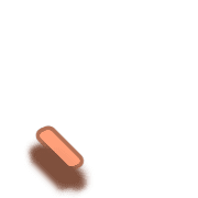 256