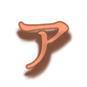 081