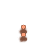244