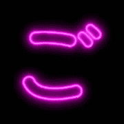 060