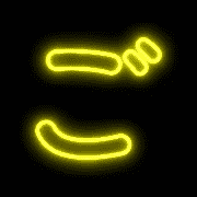 060