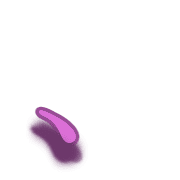 256
