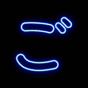 060