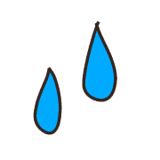 010