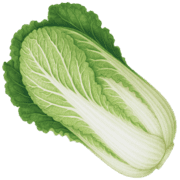 016
