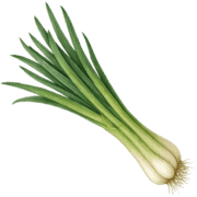 024