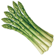 029