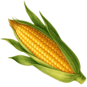 034