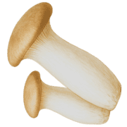 038
