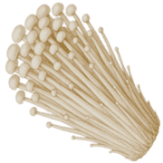 040