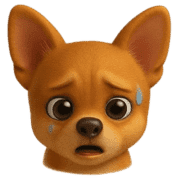 008