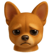 010