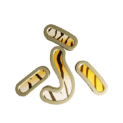 028