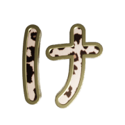 009